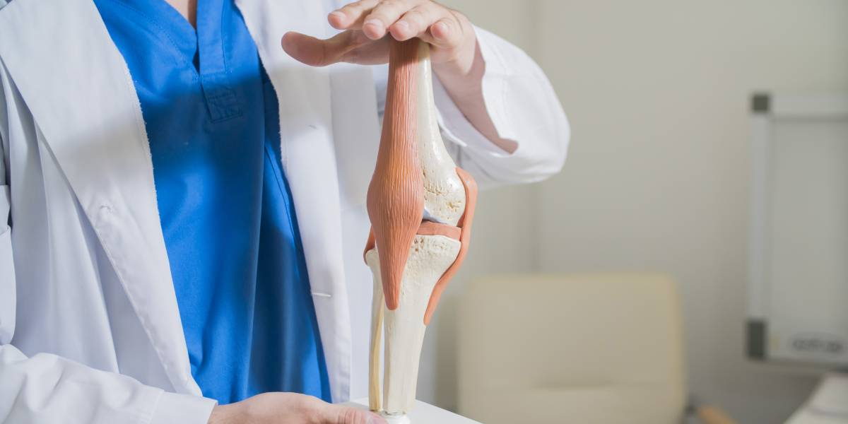 Qual a função do sistema osteoarticular?