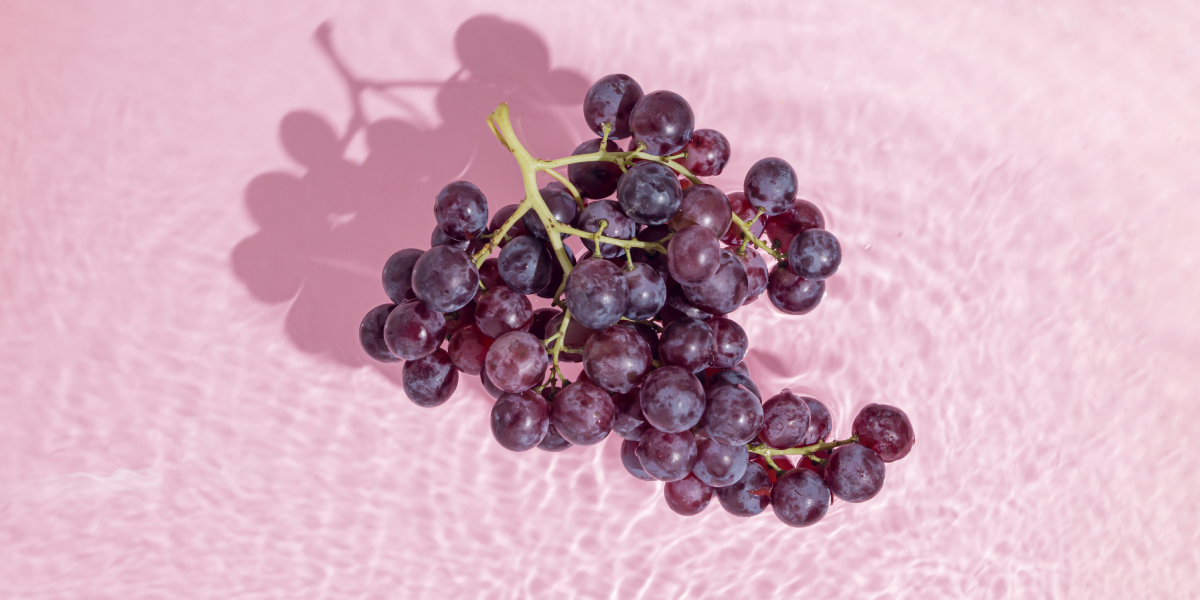 O RESVERATROL