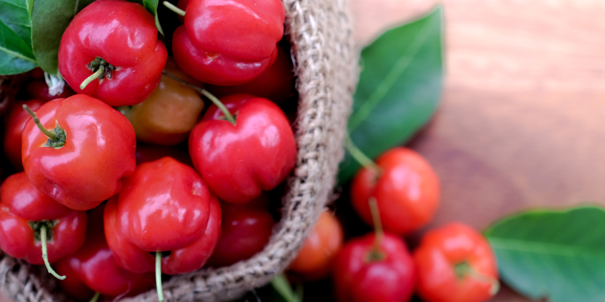 A ACEROLA