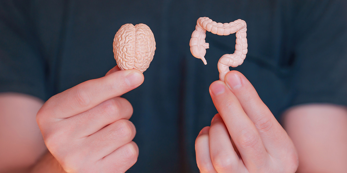 CÉREBRO E INTESTINO. HÁ AFINAL ALGUMA RELAÇÃO?